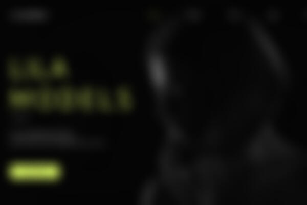 Website Case Study 1 website case study example